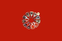 白山市长白回收红酒
